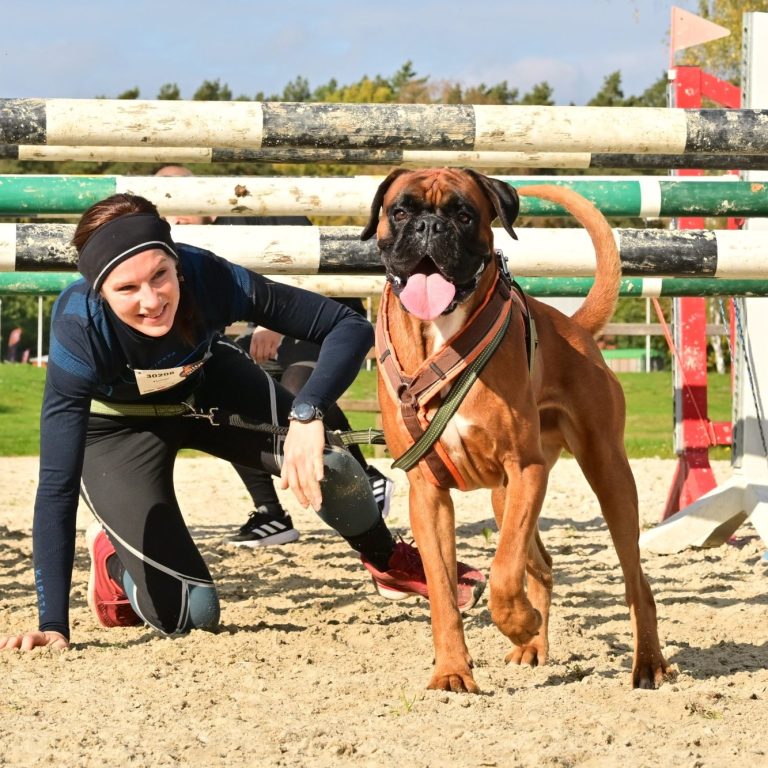 Frau mit Hund am Agility-Parcours im Freien, Hund läuft freudig auf sie zu.
